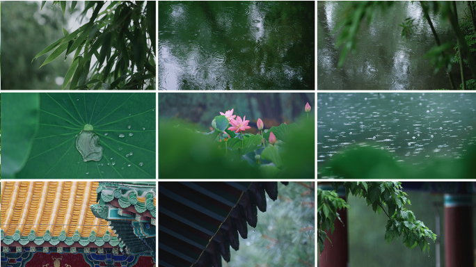 下雨天雨滴雨水树叶荷花谷雨惊蛰意境空镜