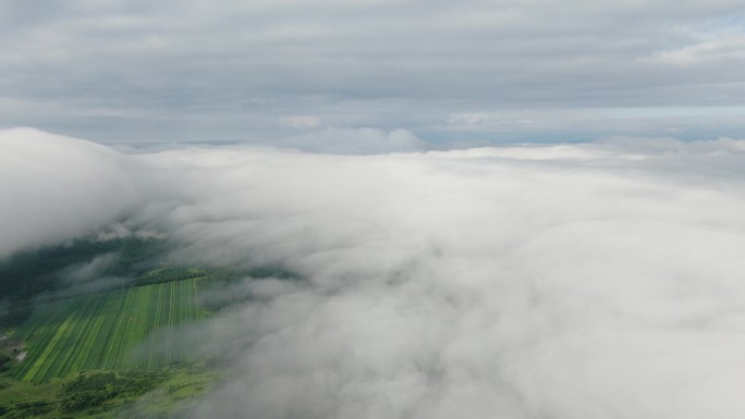 航拍森林山谷云海