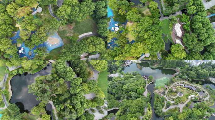 4K和平公园湿地