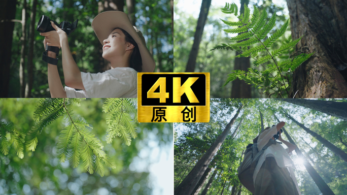 小清新气质美女森林探险旅行摄影大自然阳光