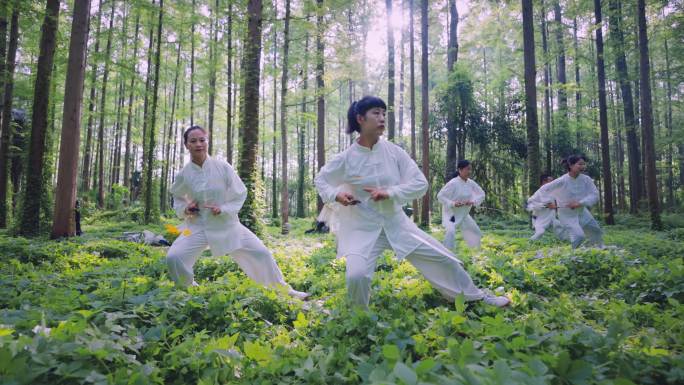 4K森林太极剑 生态 康养养生 美好生活