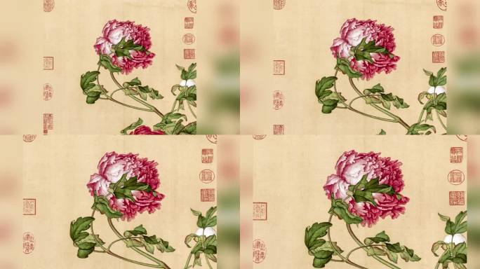 清代郎世宁花鸟图册