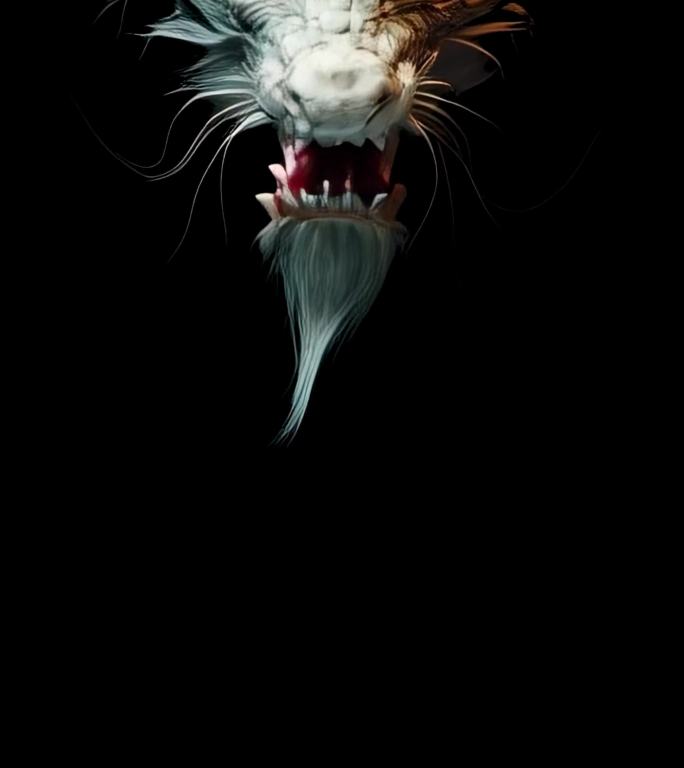 2K震撼白龙巨吼透明通道AE文件