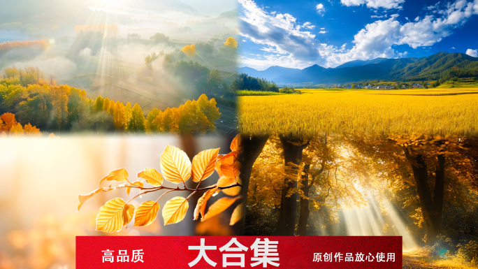 立秋 秋天 秋天唯美风景空境