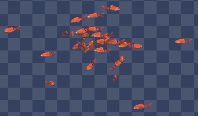 2分钟时长观赏鱼群4K合集2