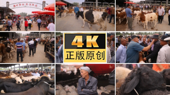 新疆 喀什 牛羊巴扎 集市 市场 民俗