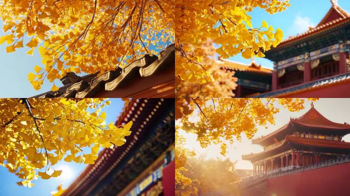 北京故宫秋天银杏北京银杏秋天银杏秋季