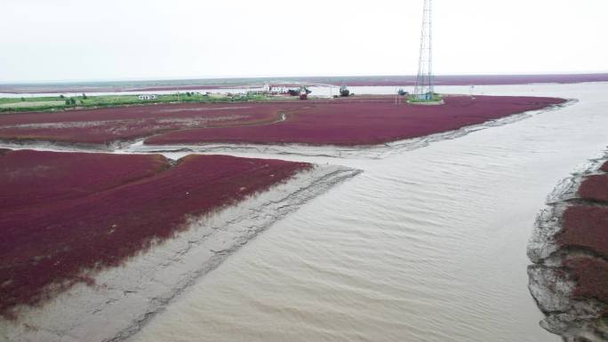 38盘锦市辽河口入海口红海滩船只渔船