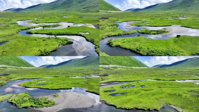 唯美草原湿地溪流航拍高原风光水源保护