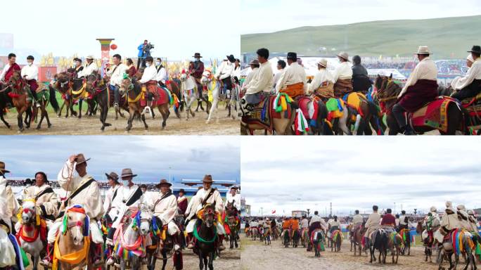 草原西藏羌塘 万马奔腾 蓝天白云阳光明媚