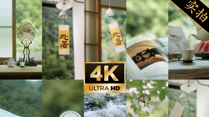 【4k处暑竖屏】秋天节气唯美风景视频素材