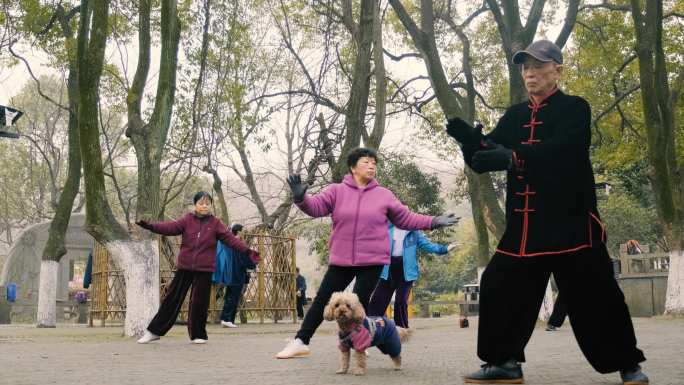 老年人打太极锻炼身体