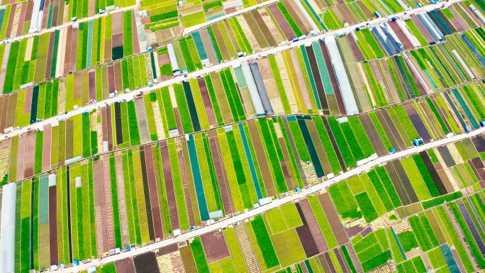 玉溪通海彩色农田色块大地线条标准化农田