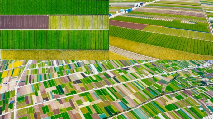 玉溪通海彩色农田色块大地线条标准化农田