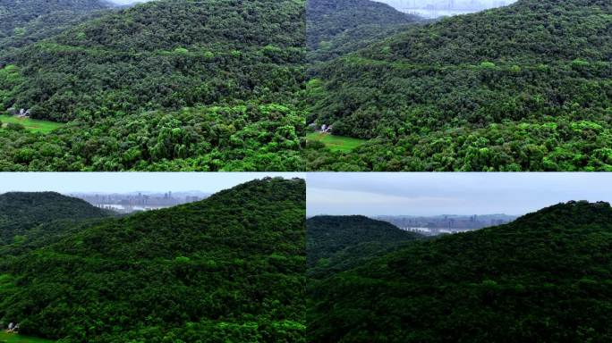 片头片尾 金山银山绿水青山 山和城市