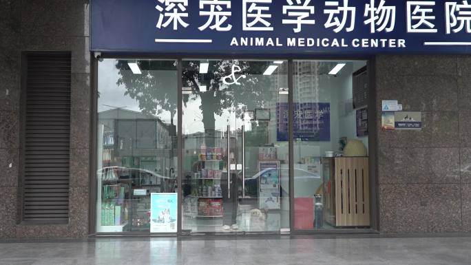 宠物医院 宠物医疗 兽医 猫狗 门诊部