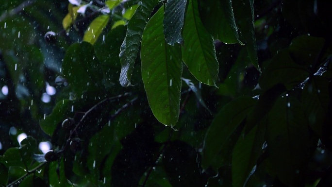 雨滴慢镜头