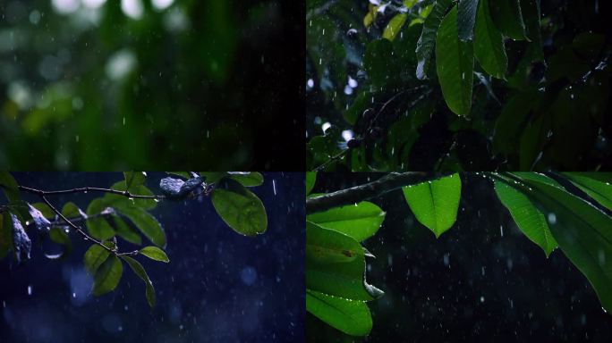 雨滴慢镜头