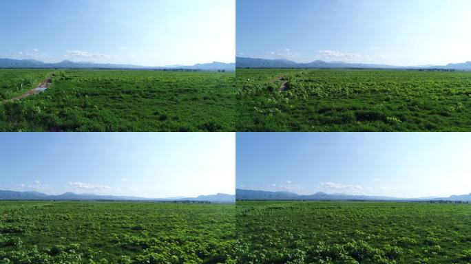 航拍自然风光