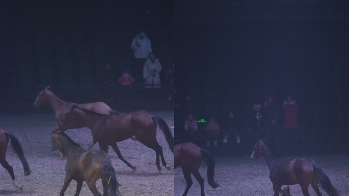 汗血宝马 马术 骑马 马