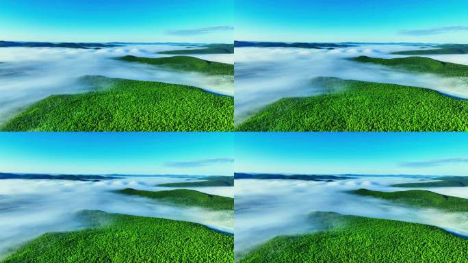 大兴安岭绿色原始森林云海