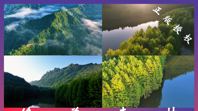 树林森林大自然生态天然氧吧夏天夏日原生态