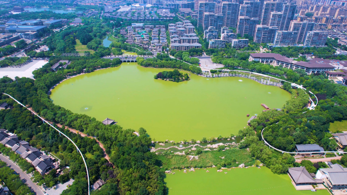曲江池公园