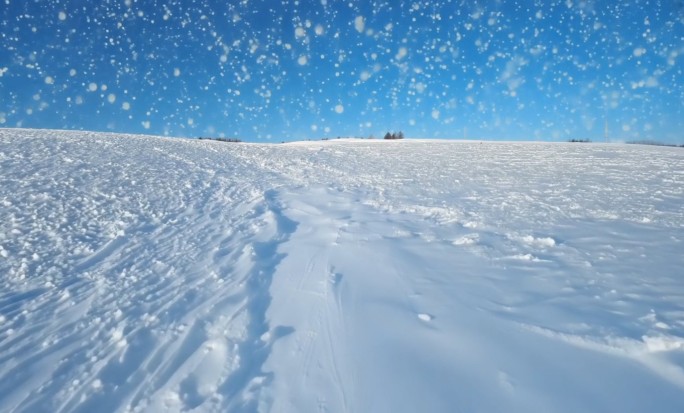 阳光 雪地 下雪 雪花 唯美雪天