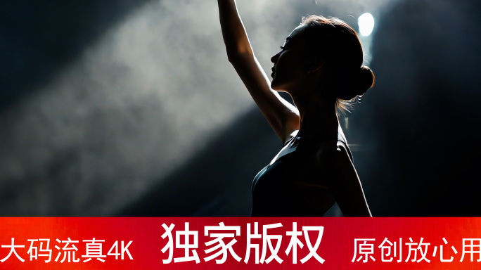 女孩刻苦训练 芭蕾舞艺术人生