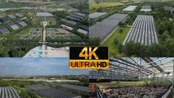 新疆现代农业科技大棚