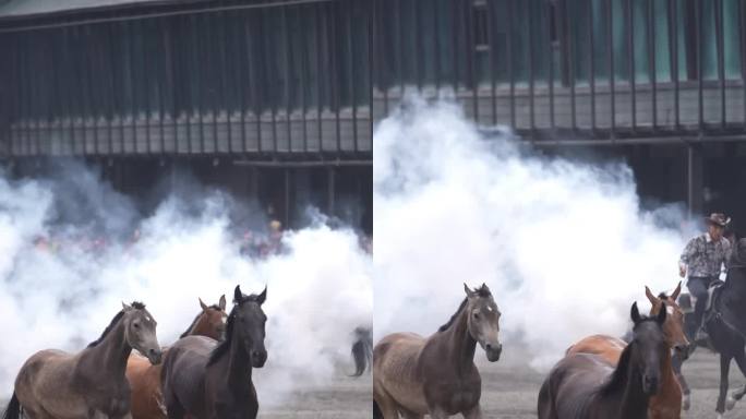 汗血宝马 骑马 马术 马