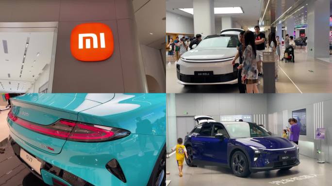 新能源车消费小米汽车