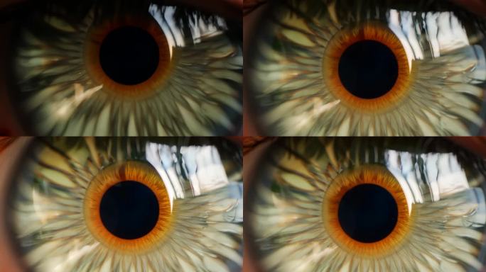 瞳孔 人眼微距