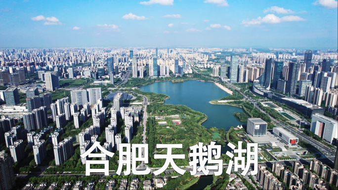 天鹅湖 安徽电视台 合肥大剧院政务区夜景