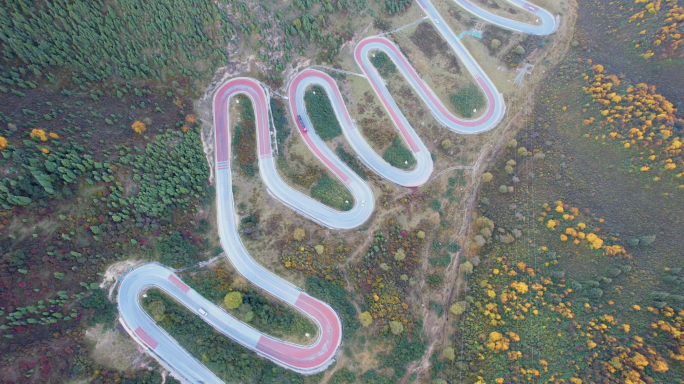 青海互助北山林场秋景航拍4K