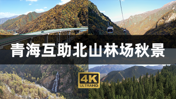 青海互助北山林场秋景航拍4K