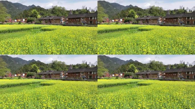 贵州梵净山寨沙侗寨油菜花海风光航拍