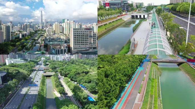深圳碧道福田新洲红树碧道