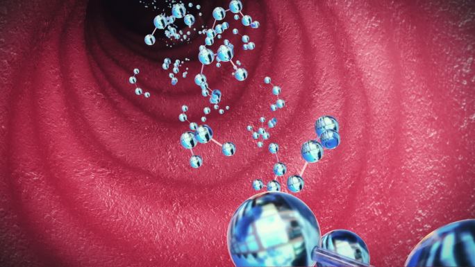 肠胃内部通道分子运动