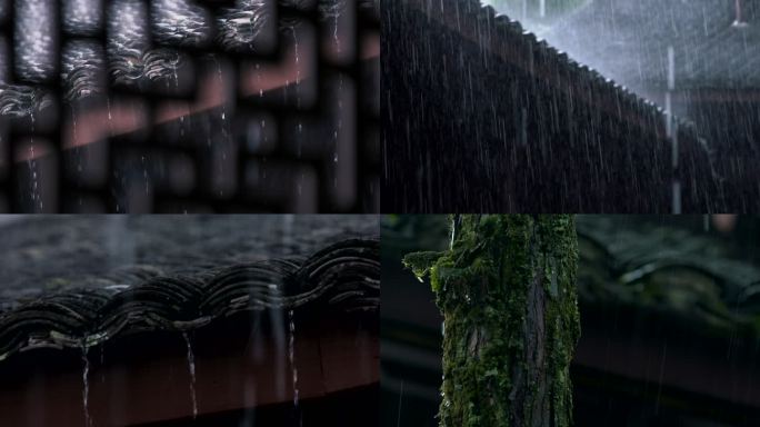 江南梅雨时节 暴雨 大雨 雨水