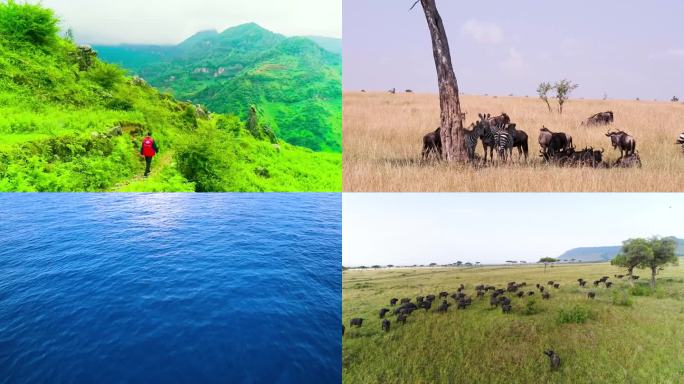 自然生态 青山绿水 房屋建筑