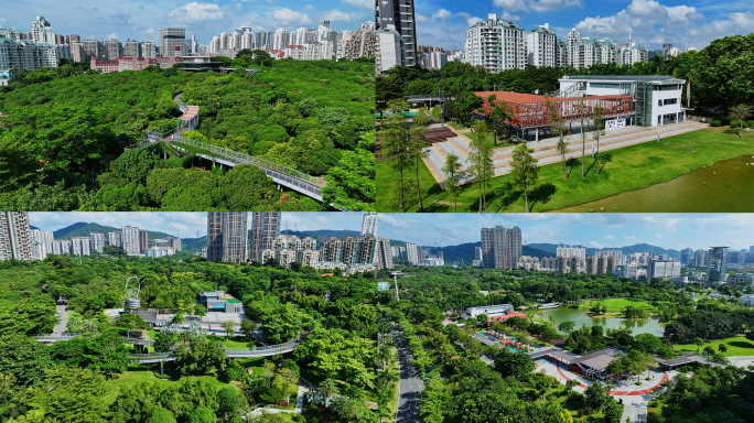 香蜜湖公园航拍福田区公园