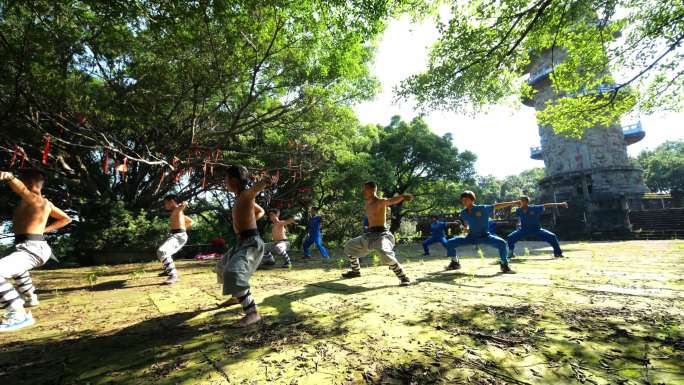 中国功夫 功夫 功夫表演 武术