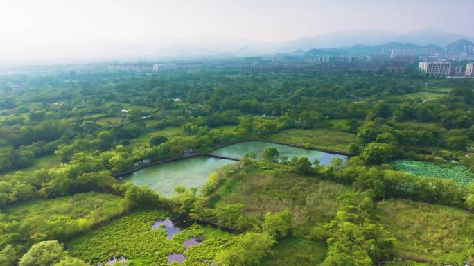 杭州余杭五常湿地夏天风光合集