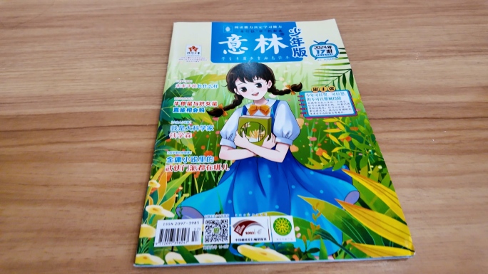 意林 杂志 报刊 期刊