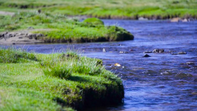 江河流水 高原上游 流水 长江上游流水