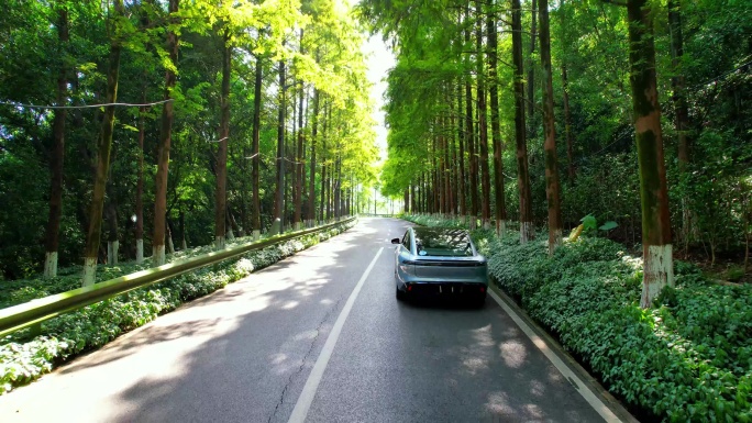 汽车在充满阳光的林间道路上行驶唯美镜头