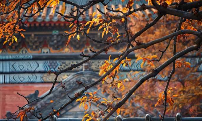 古建 秋天 秋天古建 古建秋景 秋天宫殿