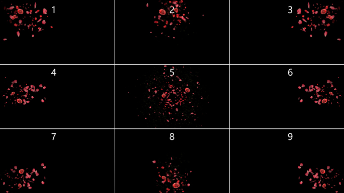 红玫瑰花飘落9款_带通道