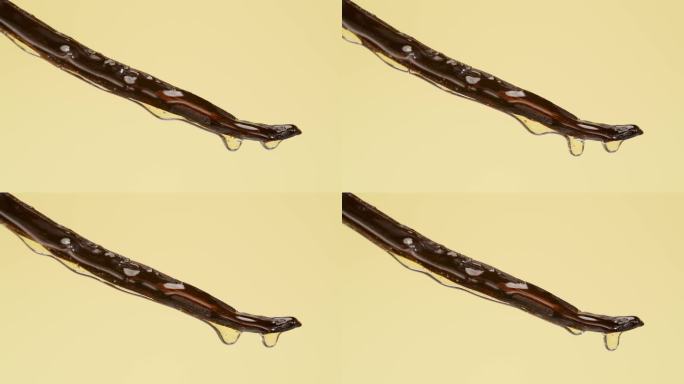 香草荚 香草 香料 调料 调味剂